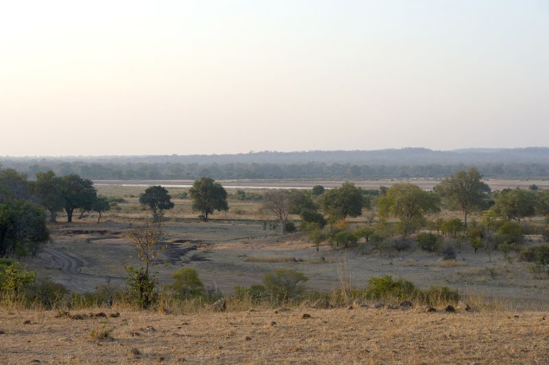 Elephant kills two female tourists from the UK and New Zealand in Zambian national park